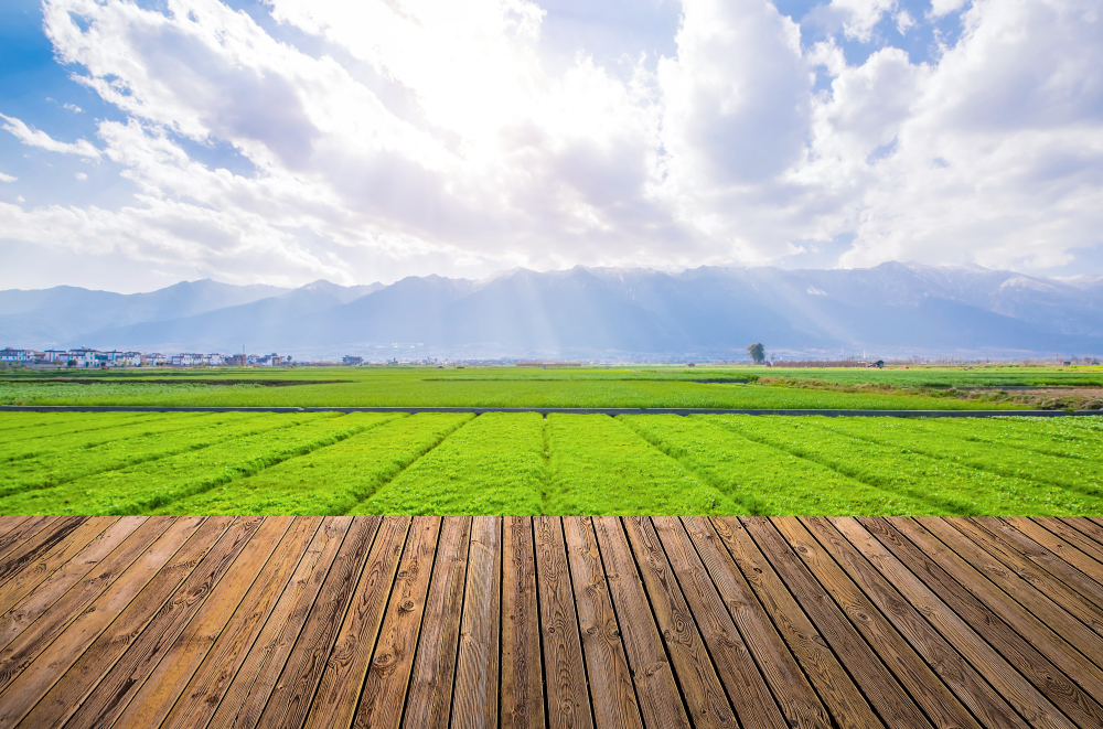 Facts about agriculture in india | Amazing facts